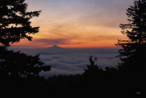 Fog Over Portland