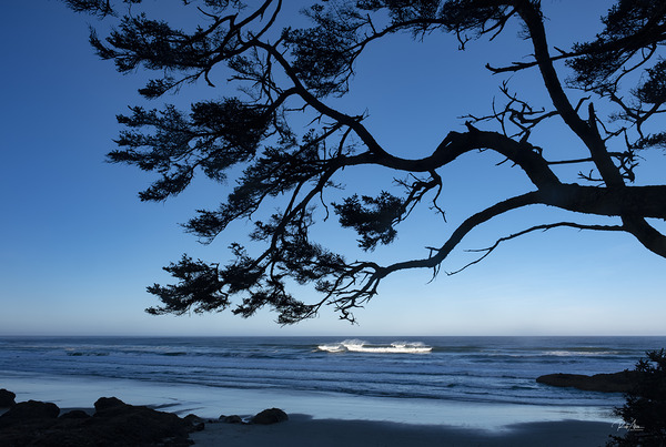 Oregon Coast Silhouette by Rob Allen Photography