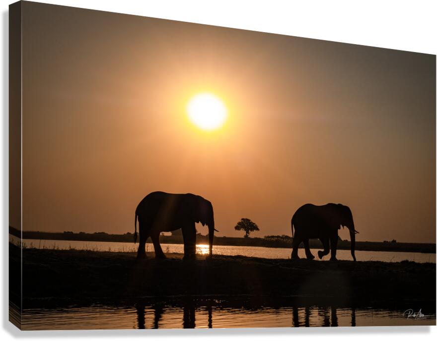 Silhouette Sunset Canvas Print