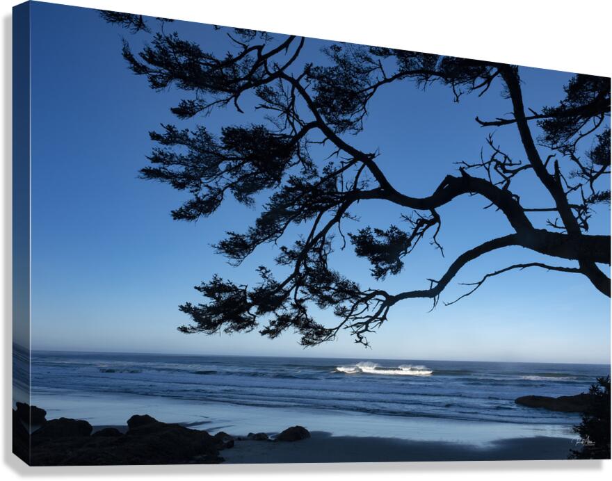Oregon Coast Silhouette Canvas Print