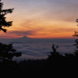 Fog Over Portland