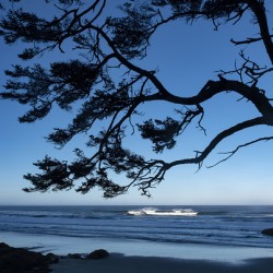 Oregon Coast Silhouette
