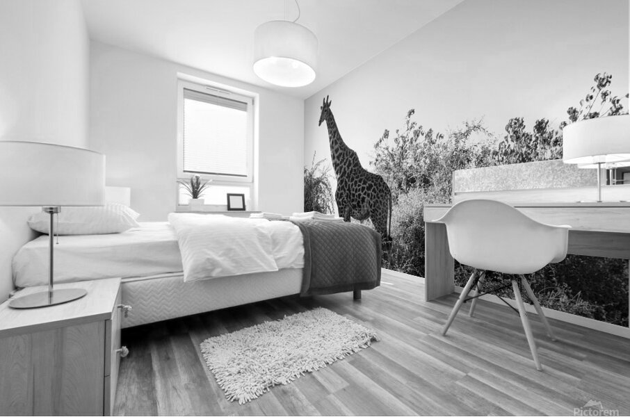 Posing Giraffe Mural print