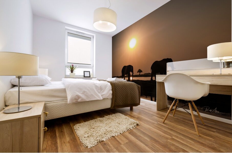 Silhouette Sunset Mural print