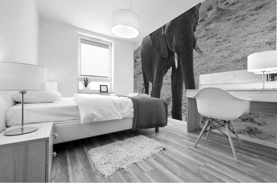 Elephant Respect Mural print