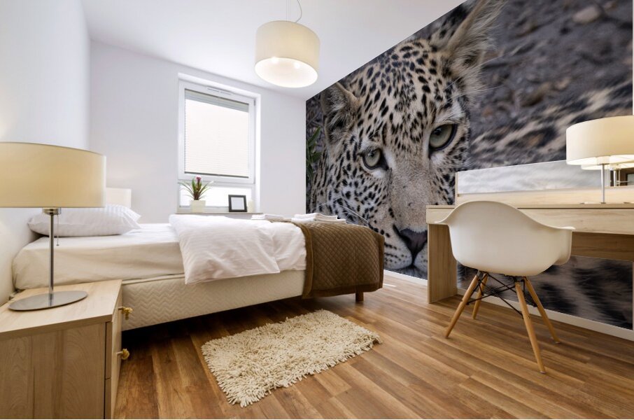Observant Leopard Mural print