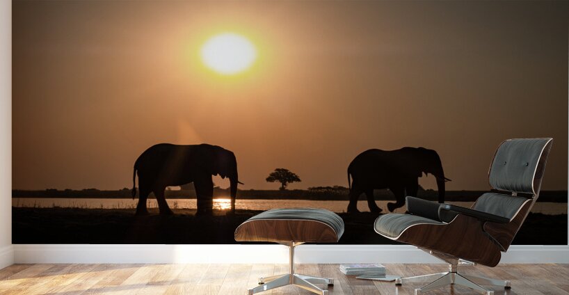 Silhouette Sunset Wall Murals