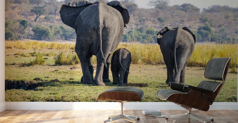 An Elephant Goodbye Wall Murals