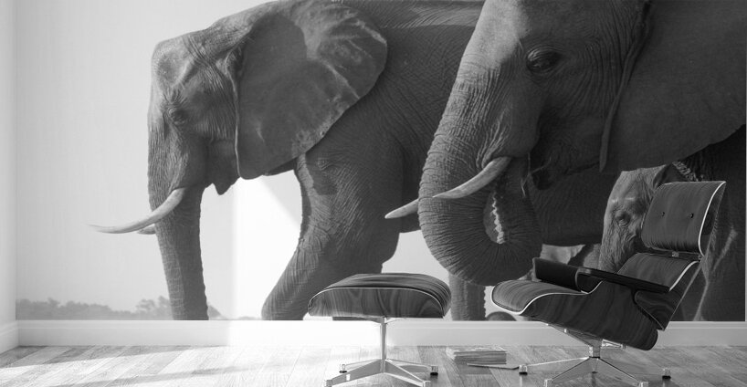 Dusty Dinner Wall Murals