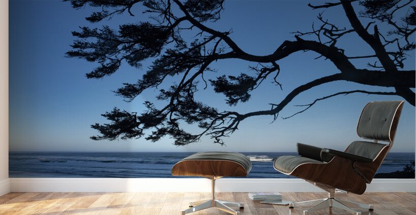 Oregon Coast Silhouette Wall Murals