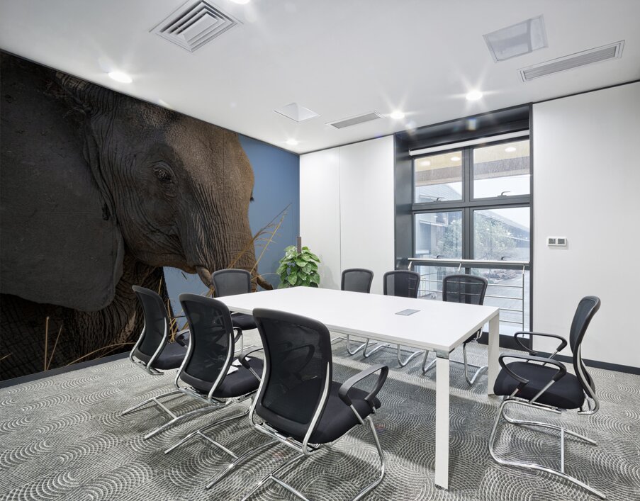 Mindful Elephant Wall Printing