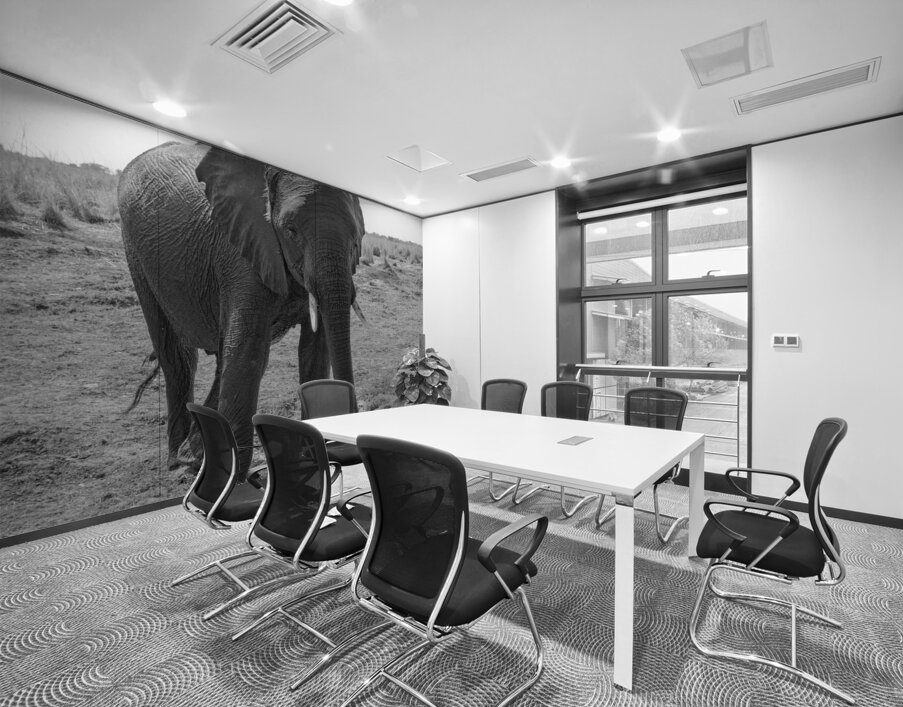 Elephant Respect Wall Printing