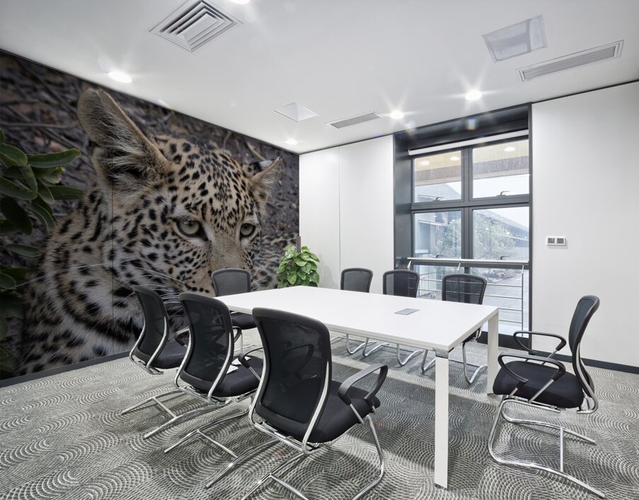 Observant Leopard Wall Printing