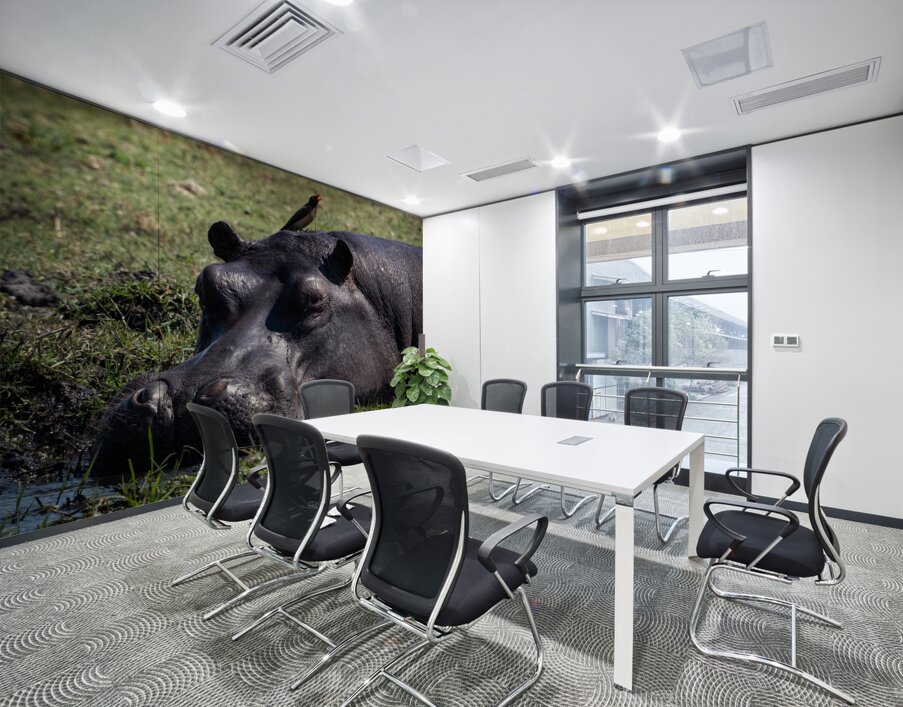 Hippos Rooster Wall Printing