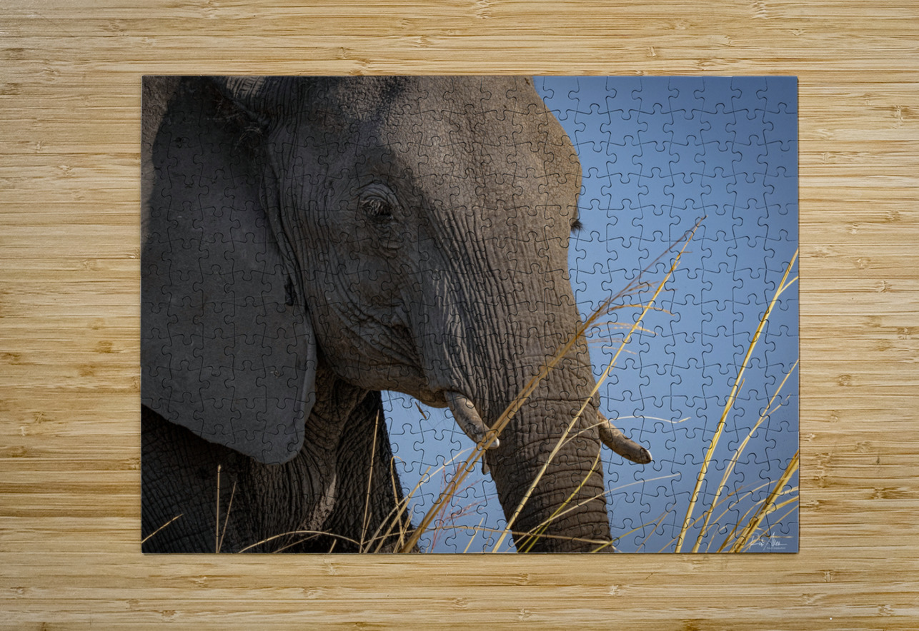 Mindful Elephant Rob Allen Photography Puzzle printing