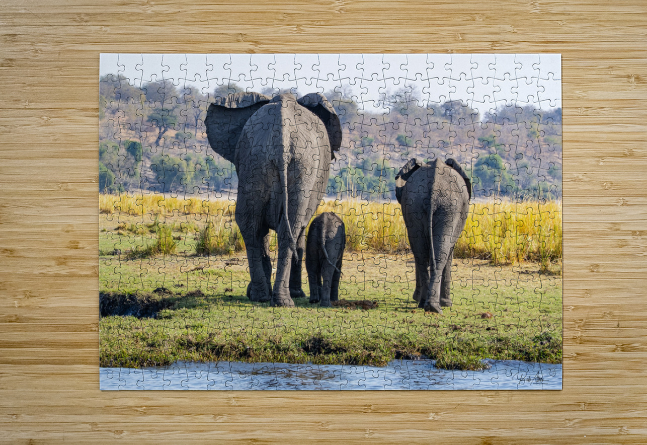 An Elephant Goodbye Rob Allen Photography Puzzle printing