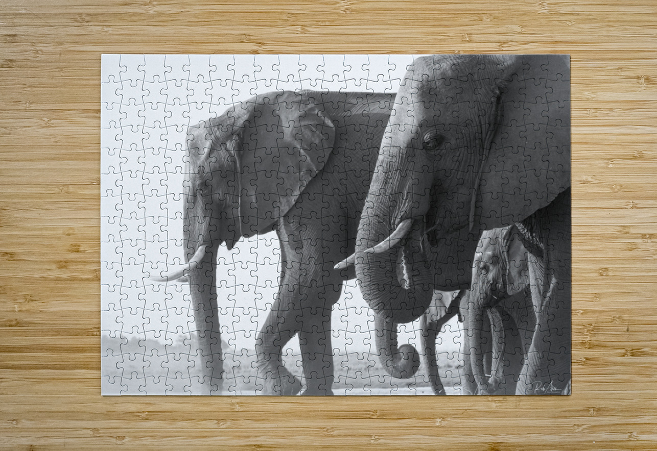 Dusty Dinner Rob Allen Photography Puzzle printing