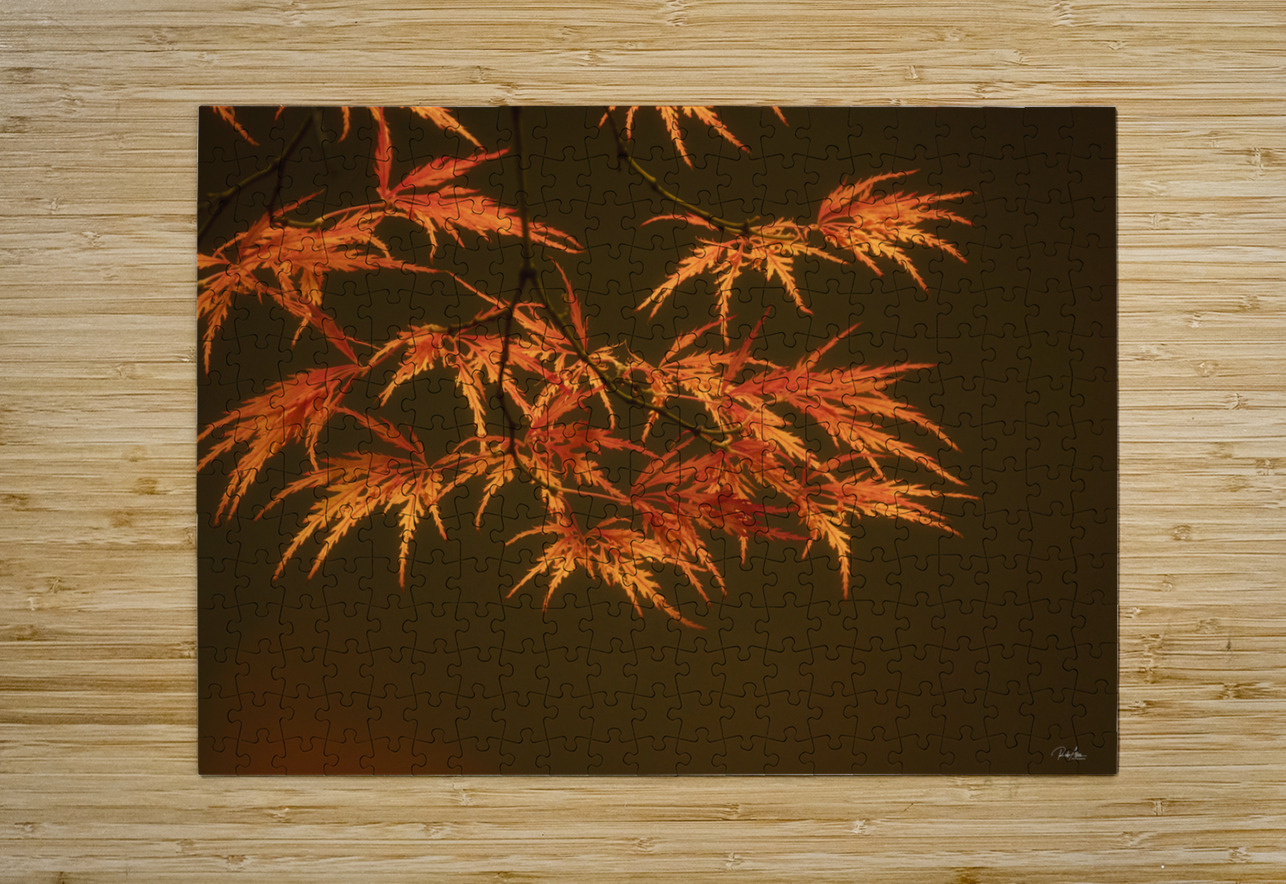 Branching Out Rob Allen Photography Puzzle printing