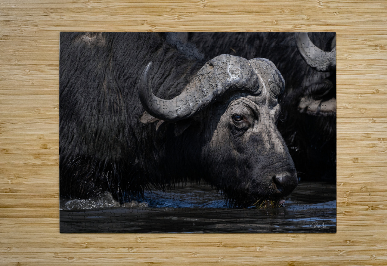 Water Buffalo Rob Allen Photography Puzzle printing