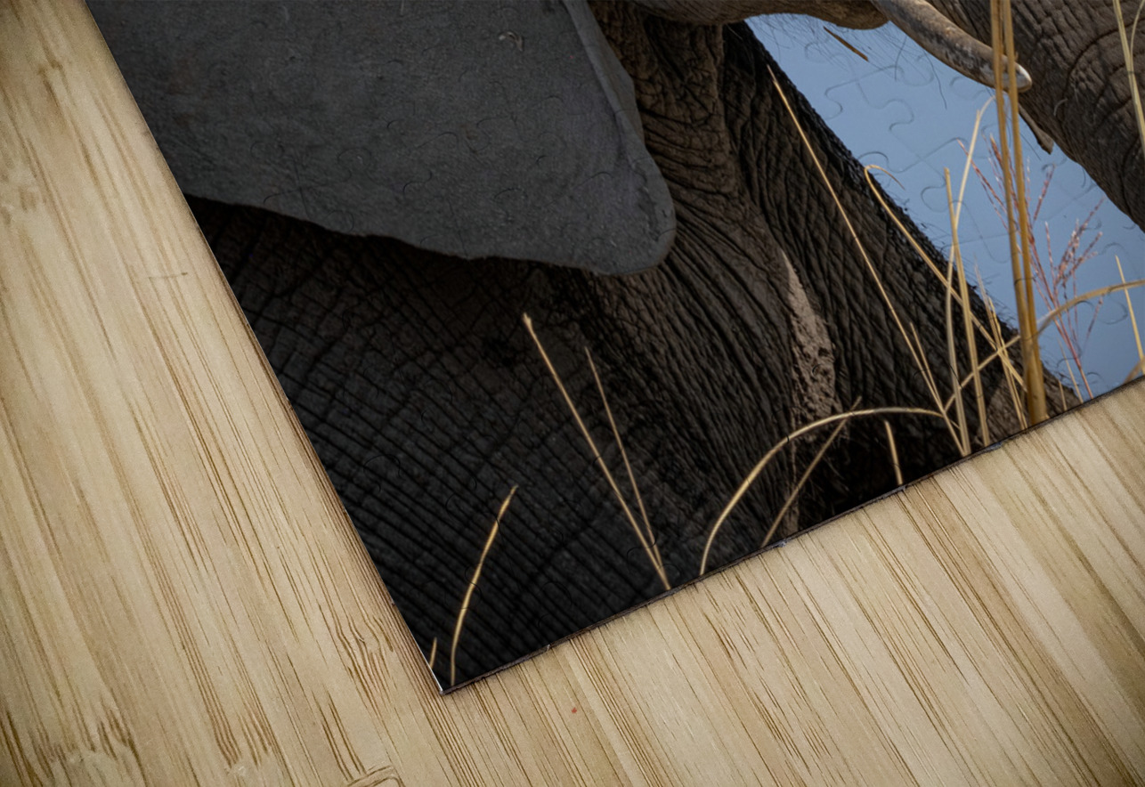 Mindful Elephant Rob Allen Photography Puzzle