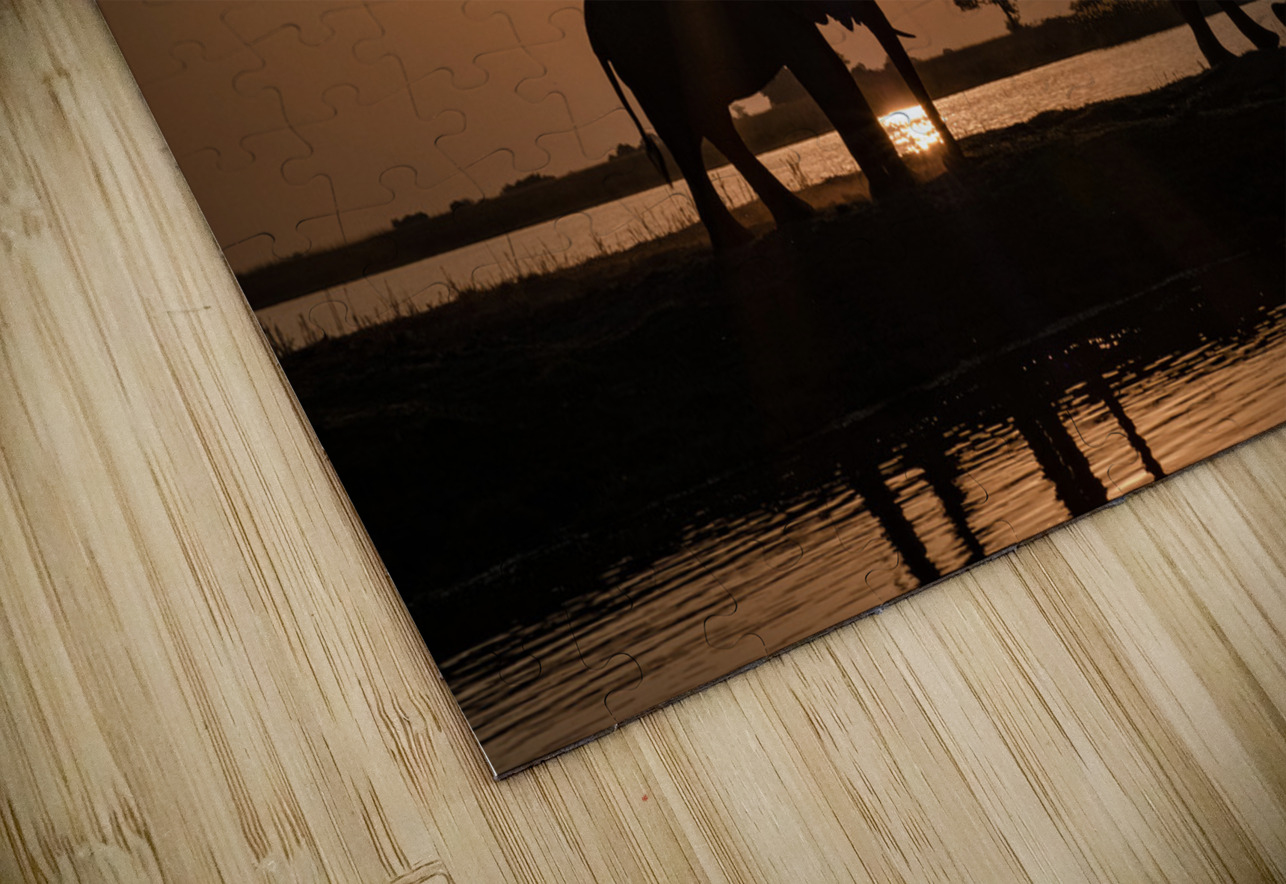 Silhouette Sunset Rob Allen Photography Puzzle