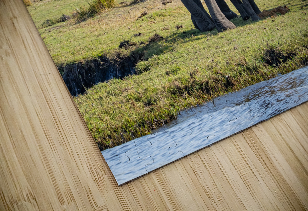 An Elephant Goodbye Rob Allen Photography Puzzle