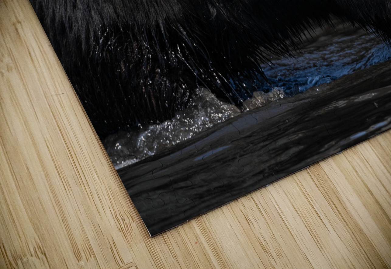 Water Buffalo Rob Allen Photography Puzzle